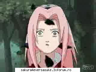 sakura iarasi