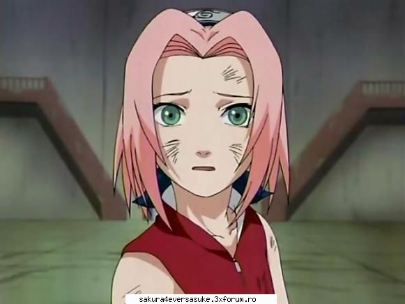 sakura sakura