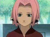 sakura sakura