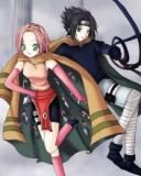 poze sakura unu
