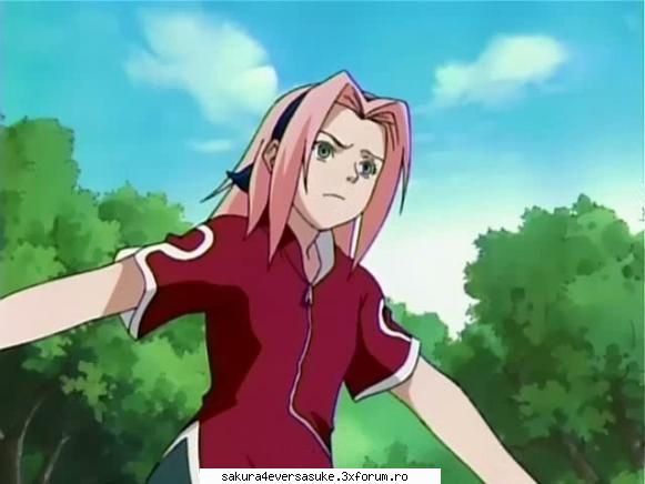 sakura alta4