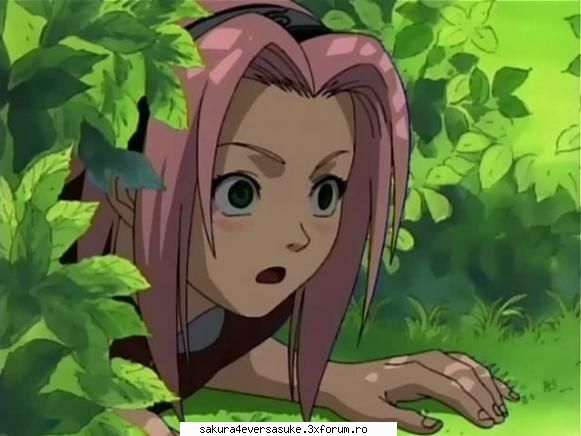 sakura alta5