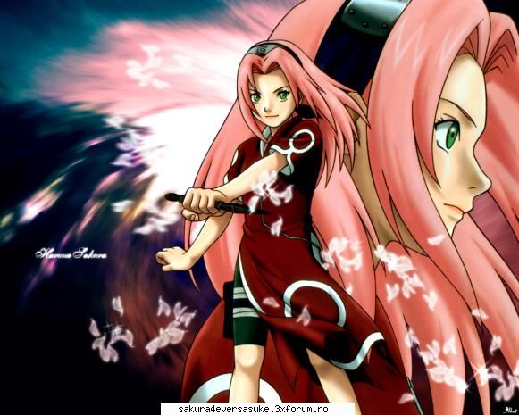sakura alta6