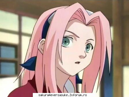 sakura alta8