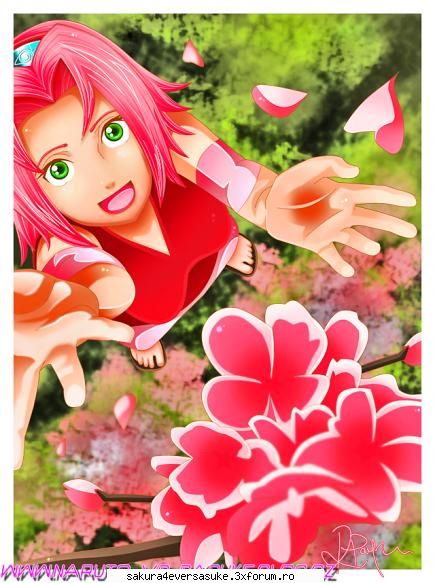 sakura naruto shippuden