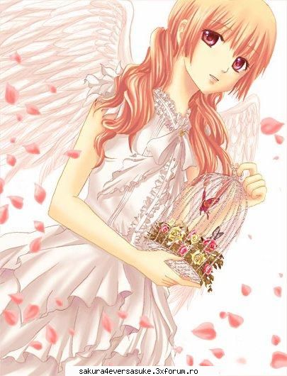 anime girls doua