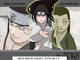 neji sau sasuke?